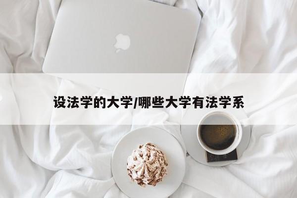 设法学的大学/哪些大学有法学系