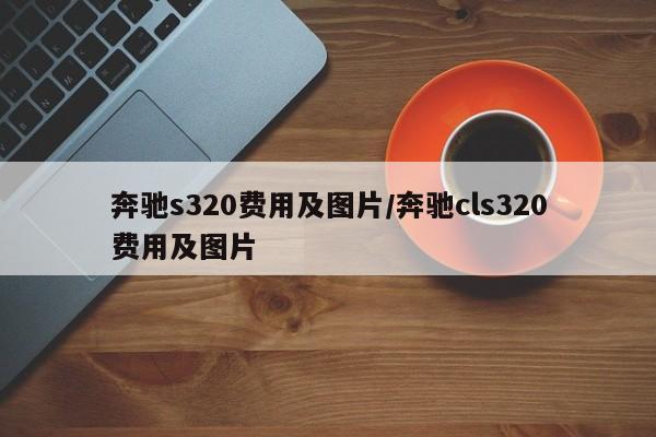 奔驰s320费用及图片/奔驰cls320费用及图片