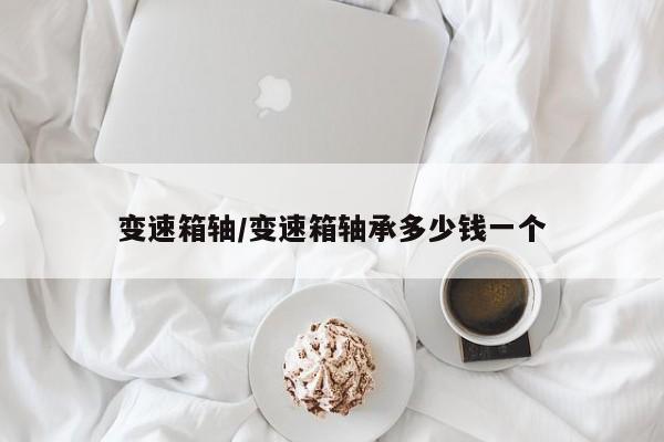 变速箱轴/变速箱轴承多少钱一个