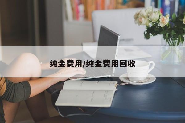 纯金费用/纯金费用回收