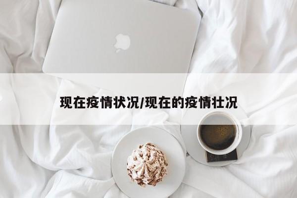 现在疫情状况/现在的疫情壮况