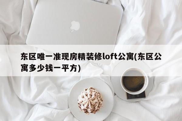 东区唯一准现房精装修loft公寓(东区公寓多少钱一平方)